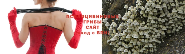 ГАЛЛЮЦИНОГЕННЫЕ ГРИБЫ Богданович