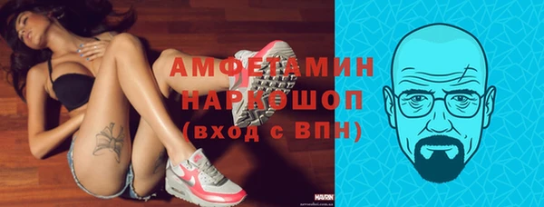 ГАЛЛЮЦИНОГЕННЫЕ ГРИБЫ Богданович