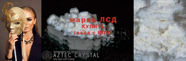 ГАЛЛЮЦИНОГЕННЫЕ ГРИБЫ Богданович