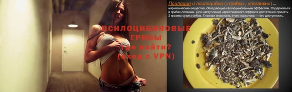 2c-b Богородицк