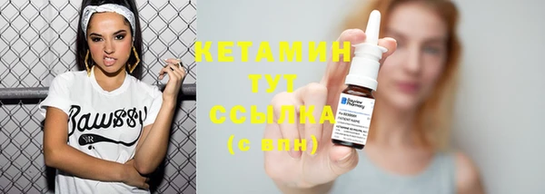 ГАЛЛЮЦИНОГЕННЫЕ ГРИБЫ Богданович