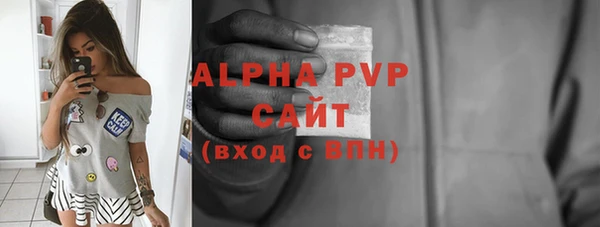 ГАЛЛЮЦИНОГЕННЫЕ ГРИБЫ Богданович