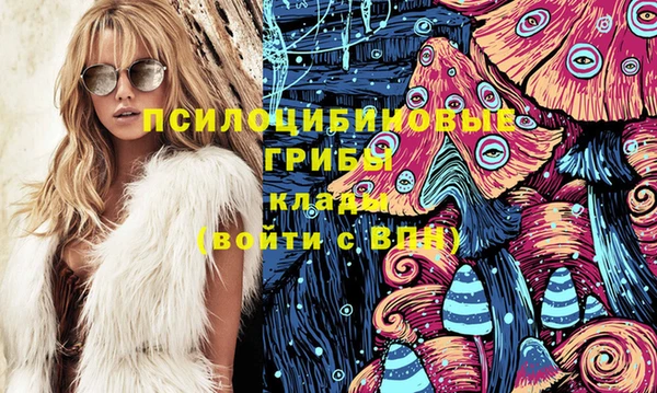 2c-b Богородицк