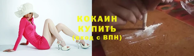 2c-b Богородицк