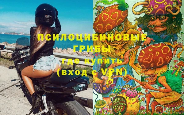 таблы Богородск