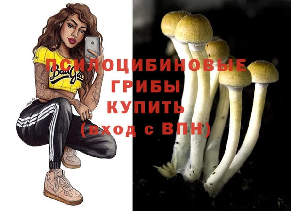 ГАЛЛЮЦИНОГЕННЫЕ ГРИБЫ Богданович