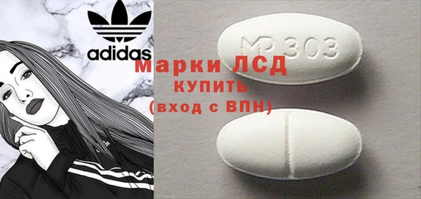 ГАЛЛЮЦИНОГЕННЫЕ ГРИБЫ Богданович