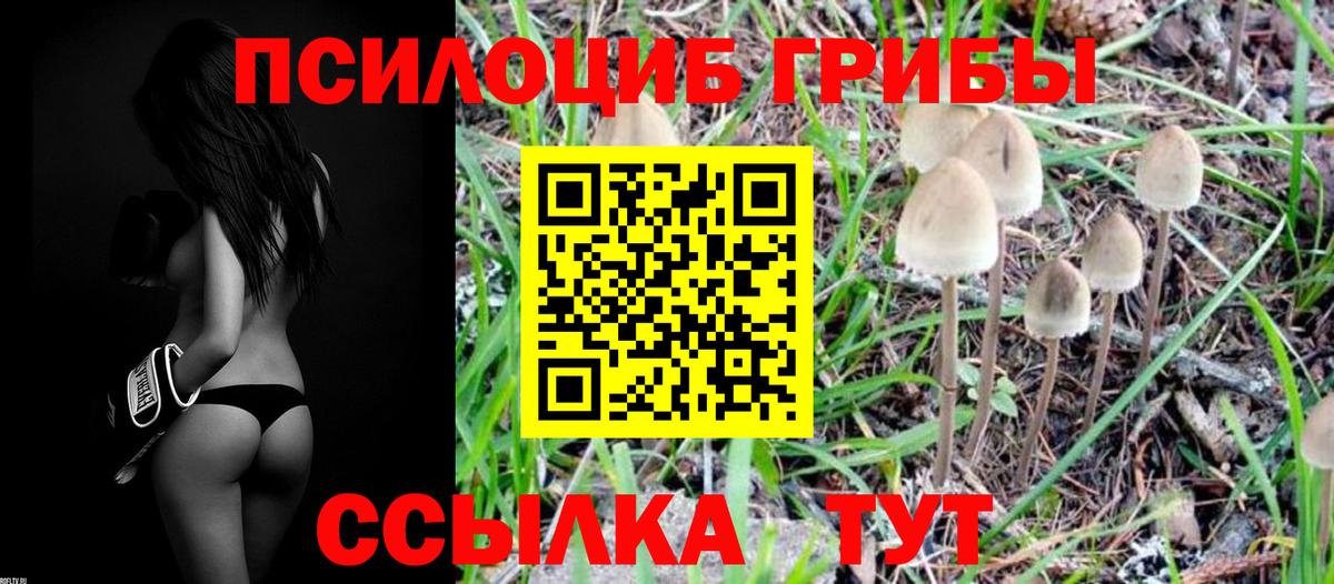 ГАШИШ Буйнакск