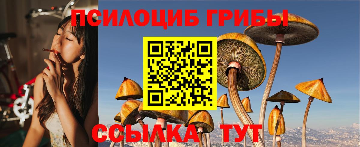 Буйнакск  Галлюциногенные грибы Cubensis  Вход с VPN 